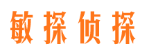 龙安侦探公司